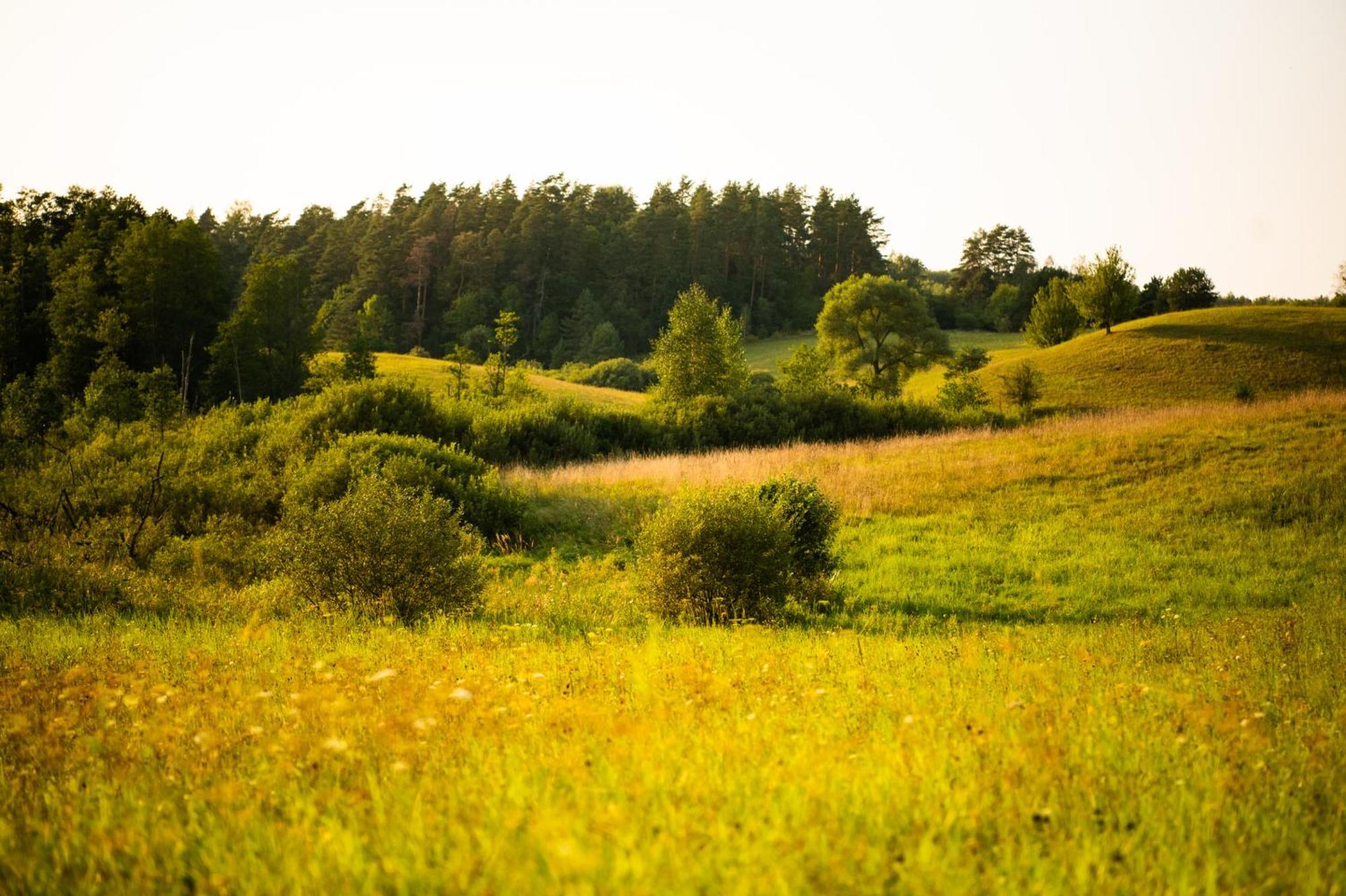 Mazurskie Chatki Mragowo Exterior photo